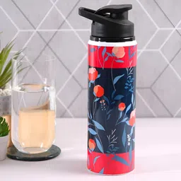 PENTADECO Blue & Red Single Aluminium Printed Single Wall Vacuum Water Bottle-image-47