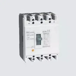 Chint Fixed Type Thermal Magnetic MCCB 1250A NM1-1250S/3300-24