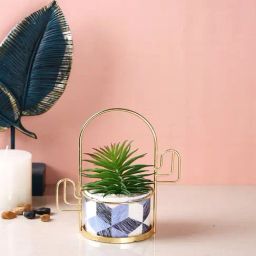Tayhaa Multicolor Plastic Textured Succulent Artificial Plant with Pot-image-47