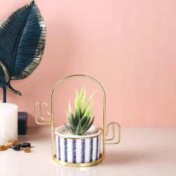 Tayhaa Multicolor Plastic Textured Succulent Artificial Plant with Pot-image-10