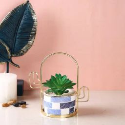 Tayhaa Multicolor Plastic Textured Succulent Artificial Plant with Pot-image-58