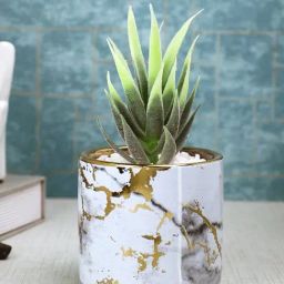 Tayhaa Multicolor Plastic Succulent Artificial Plant with Pot-24