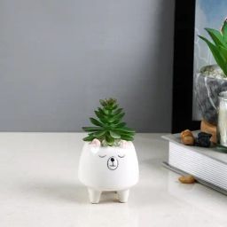 Tayhaa White & Green Plastic Succulent Artificial Plant with Pot-18