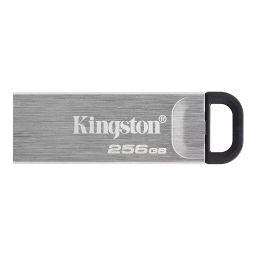 Kingston 256 GB USB 3.2 Silver Pen Drive, DTKN/256GB-20