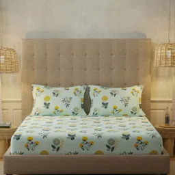 Urban Space New Serene Radiance Sky Blue Cotton 200 TC Bedsheet With 2 Pillow Cover-image-77