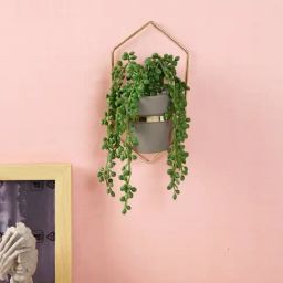 Tayhaa Multicolor Plastic Hanging Succulent Artificial Plant with Pot-6