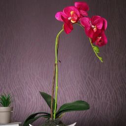Tayhaa White & Pink Plastic Orchid Artificial Plant with Pot-14