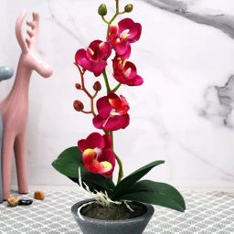 Tayhaa Grey & Red Plastic Orchid Artificial Plant with Pot-7
