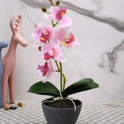 Tayhaa Grey & Pink Plastic Orchid Artificial Plant with Pot-image-36
