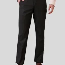 Park Avenue Brown Regular Fit Self Pattern Trousers-image-50
