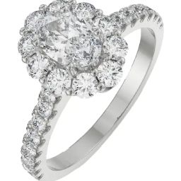 Emori 14k White Gold & Diamond Floral Halo Engagement Ring-image-105