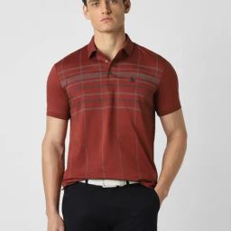 Van Heusen Maroon Cotton Regular Fit Checks Polo T-Shirt-image-63