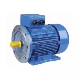 ABB 3 Phase 25 HP 2 Pole Horizontal Foot Mounted Flame Proof Induction Motor M2JAP160MLC2-image-63