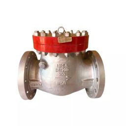 TS Flow 250 mm CF8M Flanged End Full Port Opening and Bolt Cover Swing Check Valve Class- 150-image-50