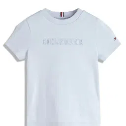 Tommy Hilfiger Boys Blue Solid Regular Fit T-Shirt-image-19
