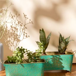 THREADVIBE LIVING Set Of 2 Green & Yellow Polka Dotted Long Basket Planters-9