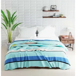 Bianca Rumba-Roll Multicolor Fibre 152 TC Double Comforter image 2