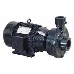 Dayton 5 HP Three Phase Centrifugal Pump, 55JJ51-12