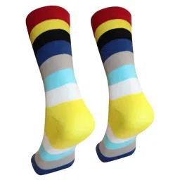 Man Arden Multicolor Striped Socks image 2
