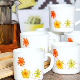 Cello Multicolor Glass Coffee Mug (0.1 L) - Set of 12-41