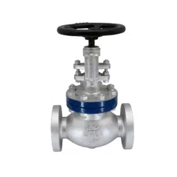 Sant 6 inch, 150 mm Cast Steel Globe Valve, CS 10A-image-42