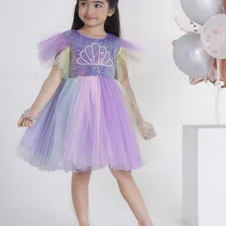 Ministitch Applique Net Fit & Flare Dress-image-63