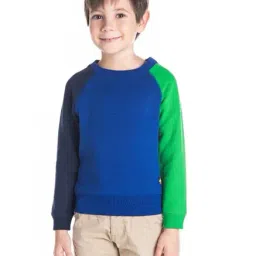 Cherry Crumble by Nitt Hyman Kids Royal Blue Solid Sweatshirt-image-15