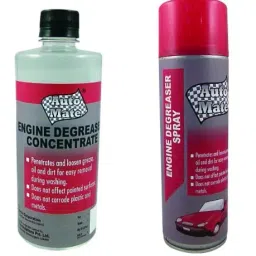 Auto Mate Carpet & Upholestry Cleaner Spry,Grade6707,450ml/408g-image-54