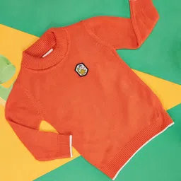 Pantaloons Baby Full Sleeves Dinosaur Patch Detailed Self Designed Pullover - Orange-picture-43