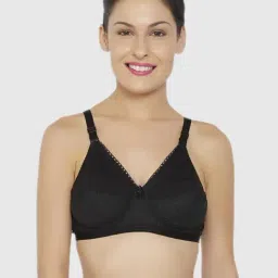 Libertina Black Regular Bras-picture-10