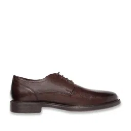 Geox Men's Terence E Coffee Derby Shoes-picture-30