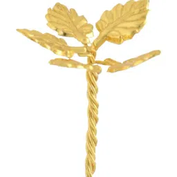 Sri Jagdamba Pearls 800 Silver Gold Plated Leave Flower with Twisted String - 2 gm-image-14