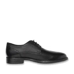 Geox Men's Terence E Black Derby Shoes-picture-22