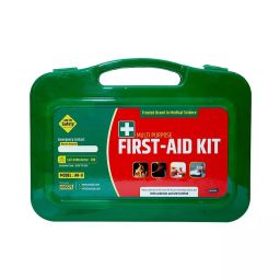 AOSSPL Green AK-II GMP Certificate First Aid Kit-image-79