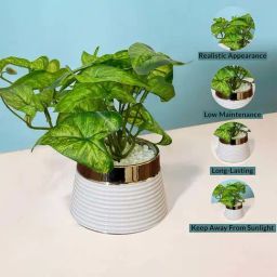 Art Street Green Ceramic Artificial Money Plant Potted Vase-image-30