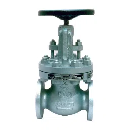 Leader CCS 006 Cast Carbon Steel U Globe Valve 350 mm Class - 600-image-18