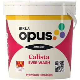 Birla Opus Calista Ever Wash 10 L Pastel Emulsion Paint For Interior Walls, 942002-picture-31