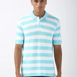 Peter England Blue Regular fit Stripes Casual Polo T-Shirt-picture-10