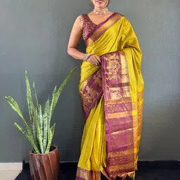 Panzora Woven Design Zari Saree-image-65