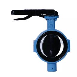 Leader 2-1/2 inch, 65 mm B Cast Iron Butterfly Valve, CI 091-image-53
