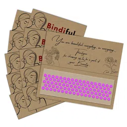 Comet Busters Bindiful Set Of 10 Traditional Round Velvet Bindi-24