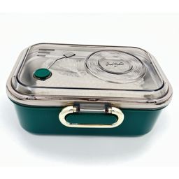Sanjary Music & Meal Stainless Steel 2 Compartment Lunch Box 950 ml - Color & Design May Vary-picture-17