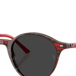 Ray-Ban Unisex Round Sunglasses with Polarised Lens 8056262314074 image 4