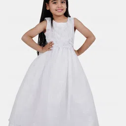 Wish little Net A-Line Maxi Dress-36