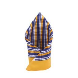 Alvaro Castagnino Men Yellow & Blue Checked Pocket Square-image-89