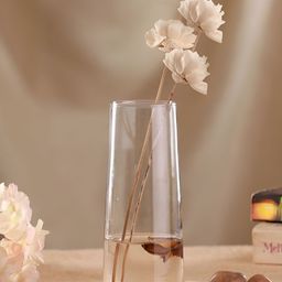 TIED RIBBONS Transparent Decorative Glass Flower Vase-51
