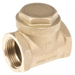 RS PRO Brass Single Non Return Valve, BSP 1in, 16 bar Model No 486205-picture-16