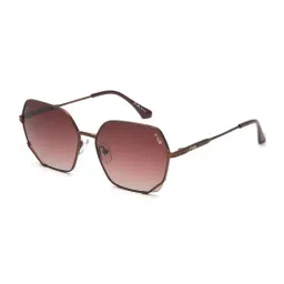 Irus Brown Hexagon UV Protection Sunglasses for Women-image-88