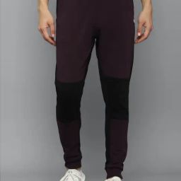 Tribe by Allen Solly Multi Regular Fit Colour Block Trackpants-image-25