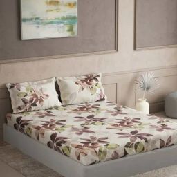 Ddecor Live beautiful Maxima Brown 180 TC Cotton King Bedsheet with 2 Pillow Covers-image-80